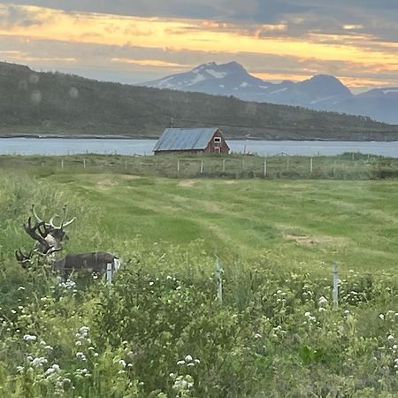 Hos Laura & Valdemar Villa Nord-Lenangen Eksteriør billede